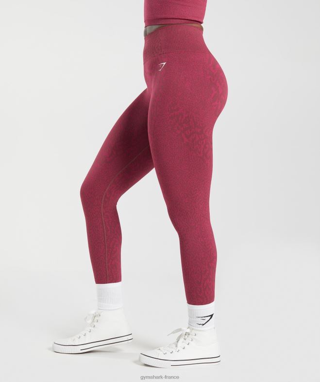 Gymshark adapter les leggings sans couture pour animaux récif | brun cerise femmes 6HF28299